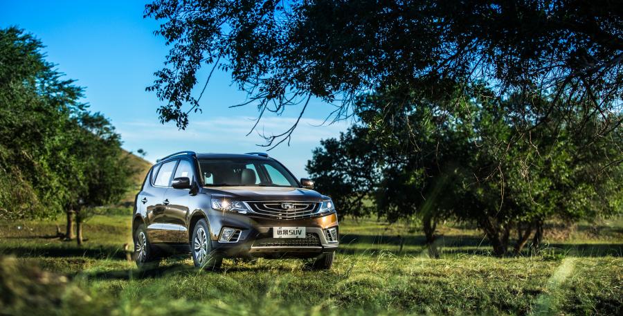  Geely Vision SUV (NL-4) 2016 года  (фото 23 из 30)